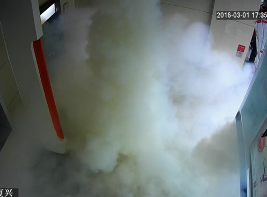 Verinuo Introduces the FS-P600R Anti-Theft Smoke System