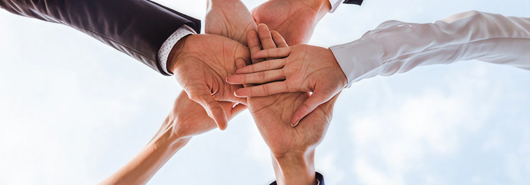 Distribution Partner